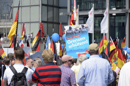 AfD Demo 'Zukunft Deutschland' in Berlin
