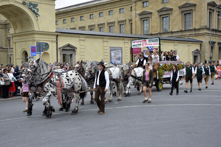 Trachten- und Schützenzug 2015 in München