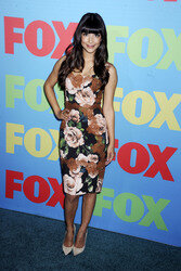 FOX 2014 Programm-Präsentation, New York