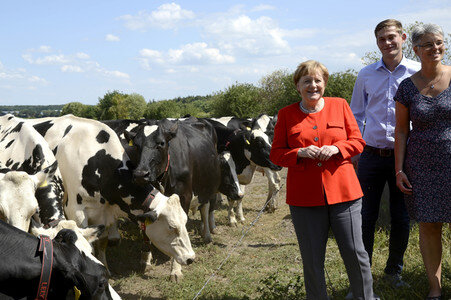 Angela Merkel besucht einen Milchbauernhof in Nienborstel