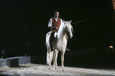 Apassionata Show 'Die goldene Spur', Dortmund