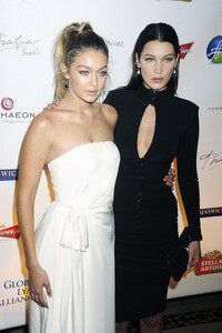 Global Lyme Alliance Gala 2015 in New York
