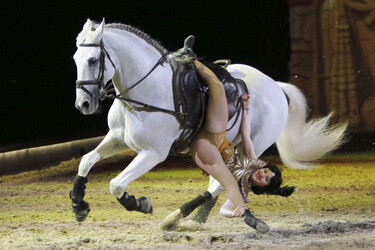 Apassionata Show 'Die goldene Spur', Dortmund