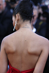 'Youth' Premiere, Cannes Film Festival 2015