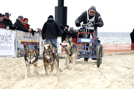 Baltic Lights 2016 auf Usedom