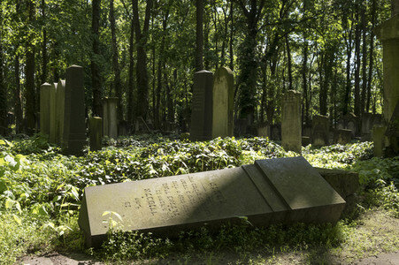 Symbolfoto Friedhof