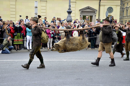 Trachten- und Schützenzug 2015 in München