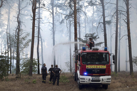 Waldbrandbekämpfung bei Treuenbrietzen