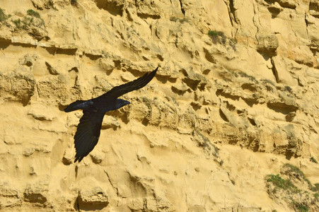 'Broadchurch' Drehort in West Bay