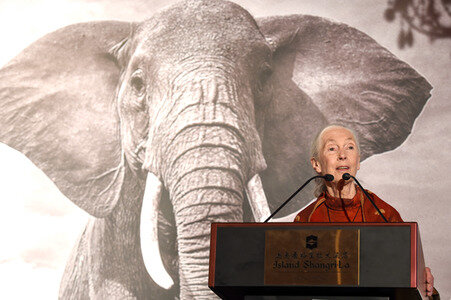 Hope for Wildlife Gala Dinner in Hongkong