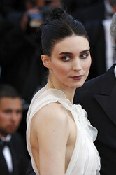 'Carol' Premiere, Cannes Film Festival 2015