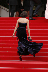 'The Search' Premiere, Cannes Film Festival 2014