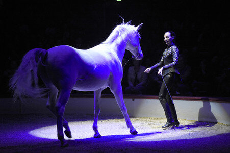 Premiere der 2. Winterspielzeit 2018 des Circus Krone in München