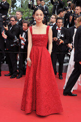 Closing Ceremony und  'La glace et le ciel' Premiere, Cannes Film Festival 2015