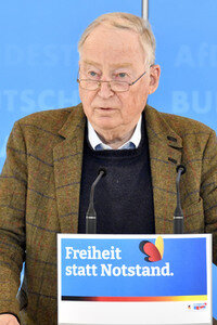 Pressestatement der AfD in Berlin