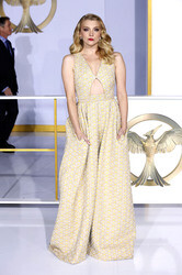 'Die Tribute von Panem - Mockingjay: Teil 1' Premiere, Los Angeles