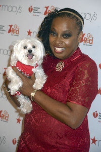 American Heart Association Fashion Show in New York