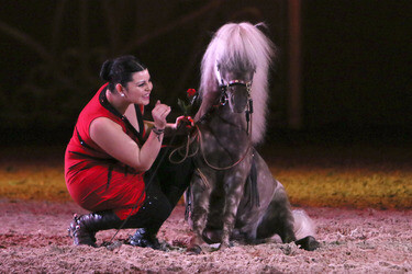 Apassionata Show 'Die goldene Spur', Dortmund