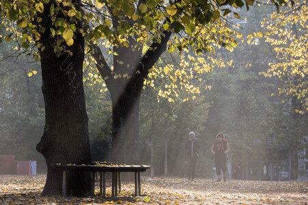 Symbolfoto Herbst