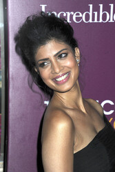 'Best Exotic Marigold Hotel 2' Premiere, New York