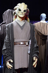 Ausstellungseröffnung 'Star Wars Identities' in Köln