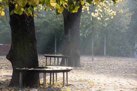 Symbolfoto Herbst