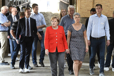 Angela Merkel besucht einen Milchbauernhof in Nienborstel