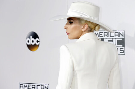American Music Awards 2016 in Los Angeles