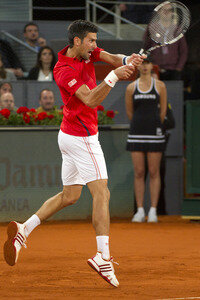 Tennis Match Novak Djokovic vs Milos Raonic in Madrid