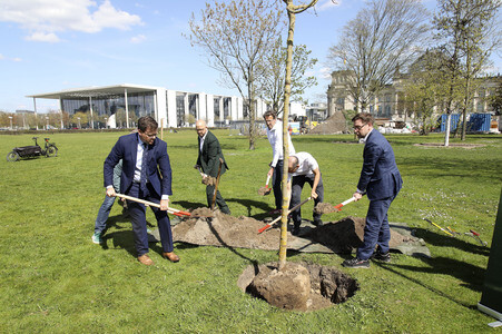 Baumpflanzaktion mit Carsten Schneider in Berlin
