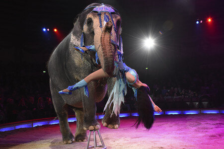 Circus Krone Premiere in München