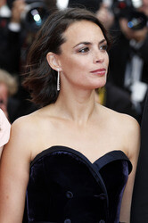 'The Search' Premiere, Cannes Film Festival 2014