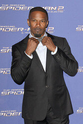 'The Amazing Spider-Man 2: Rise of Electro' Premiere, Rom