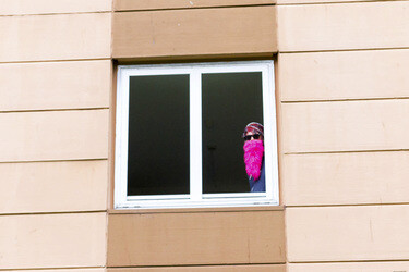 Demo '§ 23 United Neighbours - wir bleiben alle!', Berlin