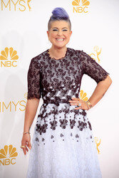 66. Primetime Emmy Awards, Los Angeles