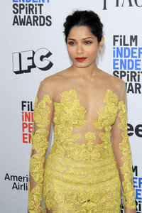 Film Independent Spirit Awards 2017 in Santa Monica