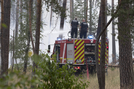 Waldbrandbekämpfung bei Treuenbrietzen