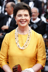 'Sicario' Premiere, Cannes Film Festival 2015