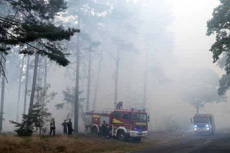 Waldbrandbekämpfung bei Treuenbrietzen
