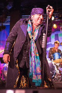 Konzert von Little Steven & The Disciples of Soul in Hamburg