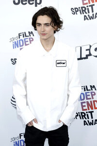 Film Independent Spirit Awards 2018 in Santa Monica