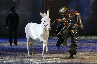 Apassionata Show 'Die goldene Spur', Dortmund