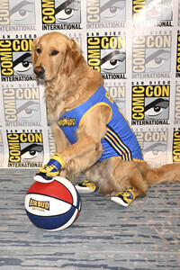 Photocall 'Air Bud Returns', San Diego Comic-Con International 2026
