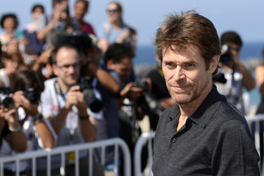 'Pasolini' Photocall, San Sebastian Film Festival 2014