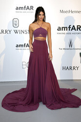 amfAR's Cinema Against Aids Gala 2015 im Rahmen des Cannes Film Festivals