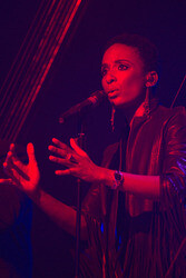 Marius Müller-Westernhagen Konzert, Berlin