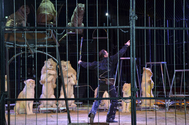'Evolution' Weltpremiere im Circus Krone, München
