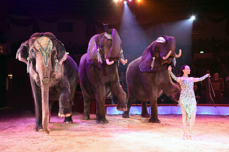 Premiere der 2. Winterspielzeit 2018 des Circus Krone in München