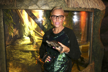 'Abenteuer Schildkröte' Opening im Sea Life, Berlin