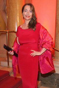 Romy Gala 2017 in Wien
